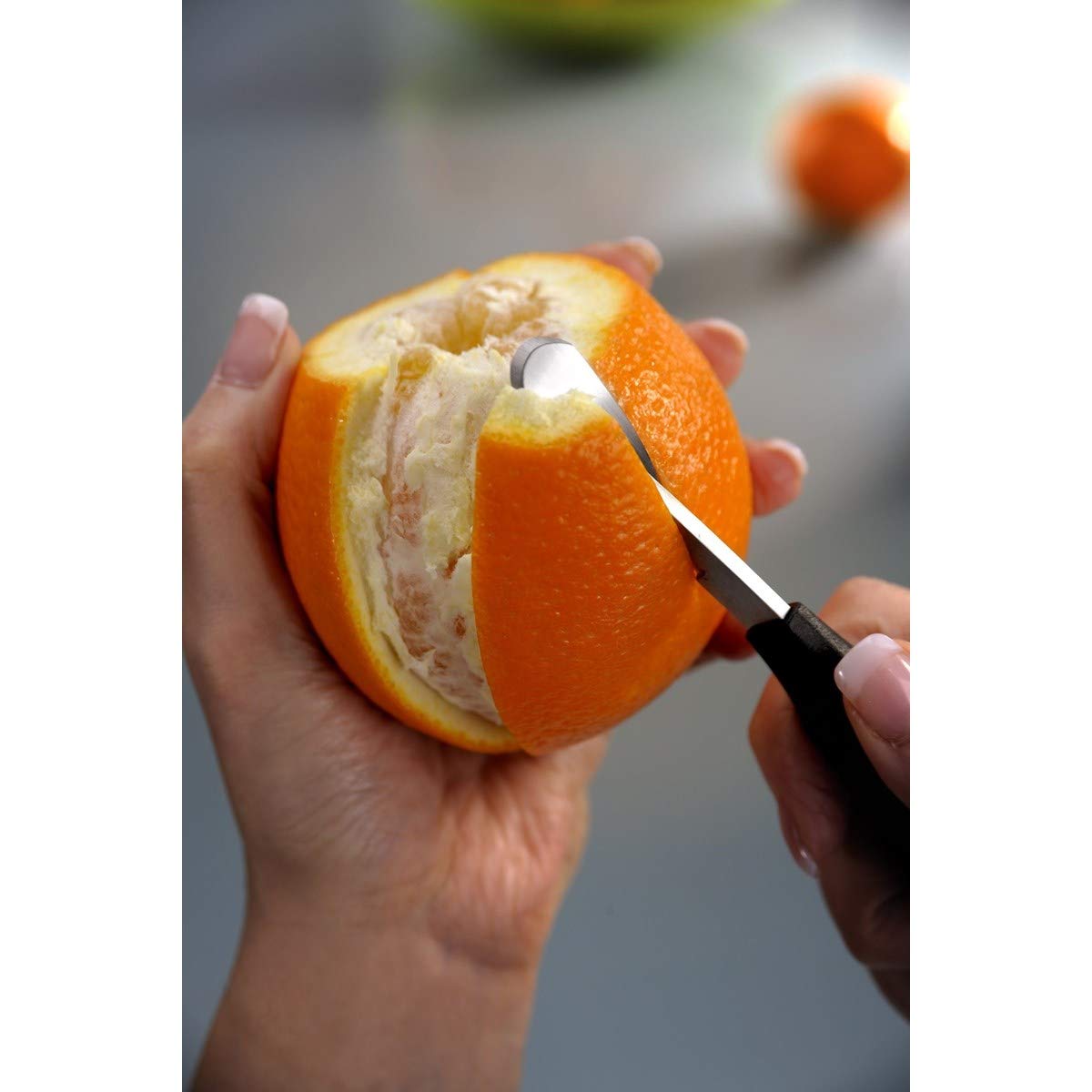 gefu-ingwer-und-orangensch-ler-melansina-edelstahl-sch-ler-f-r-ingwer-orangen-mi image 5