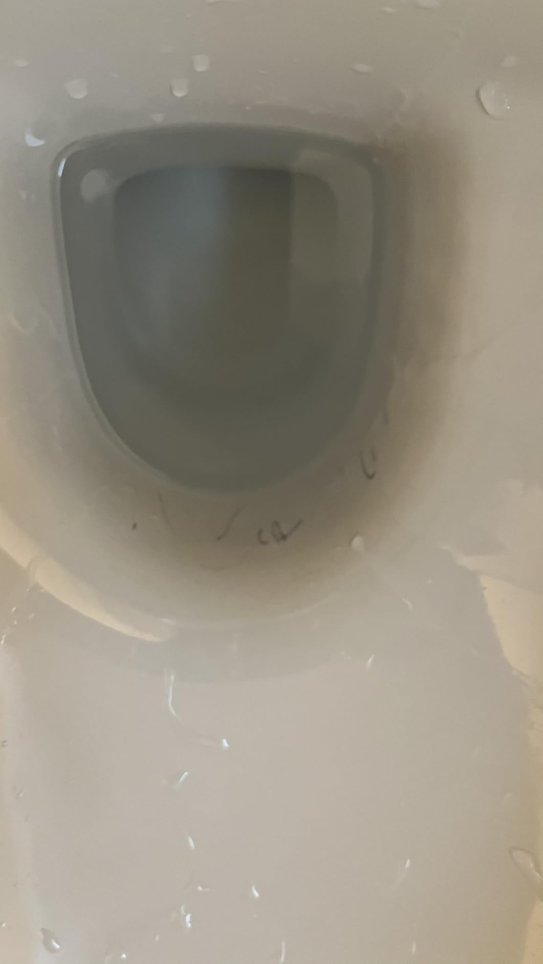 Endlich eine saubere Toilettenbürste
