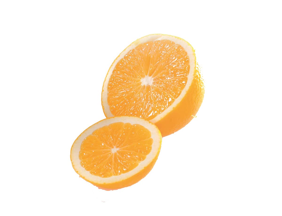 gefu-zitronenpresse-lemon-aus-edelstahl-manuelle-saftpresse-2-teilig-mit-saftsie image 5