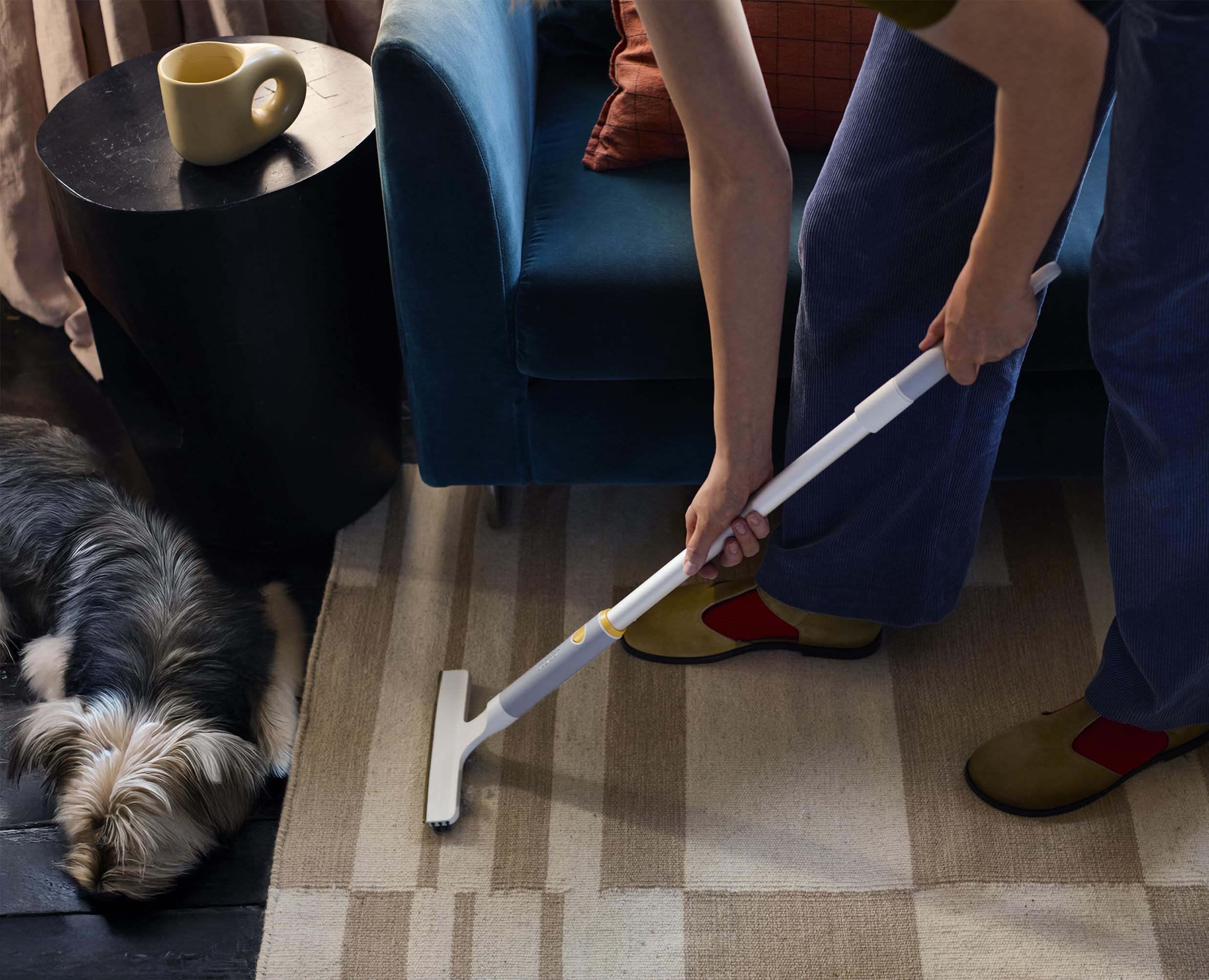 joseph-joseph-cleantech-teppichharke-2-in-1-tierhaarentferner-f-r-teppiche-und-e image 3