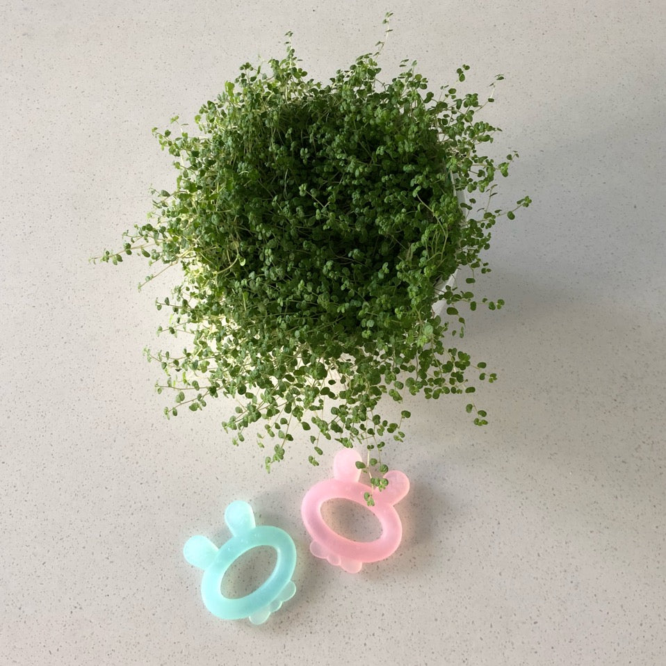 haakaa-silicone-rabbit-ear-teether-bei-ring-aus-lebensmittelechtem-silikon image 4