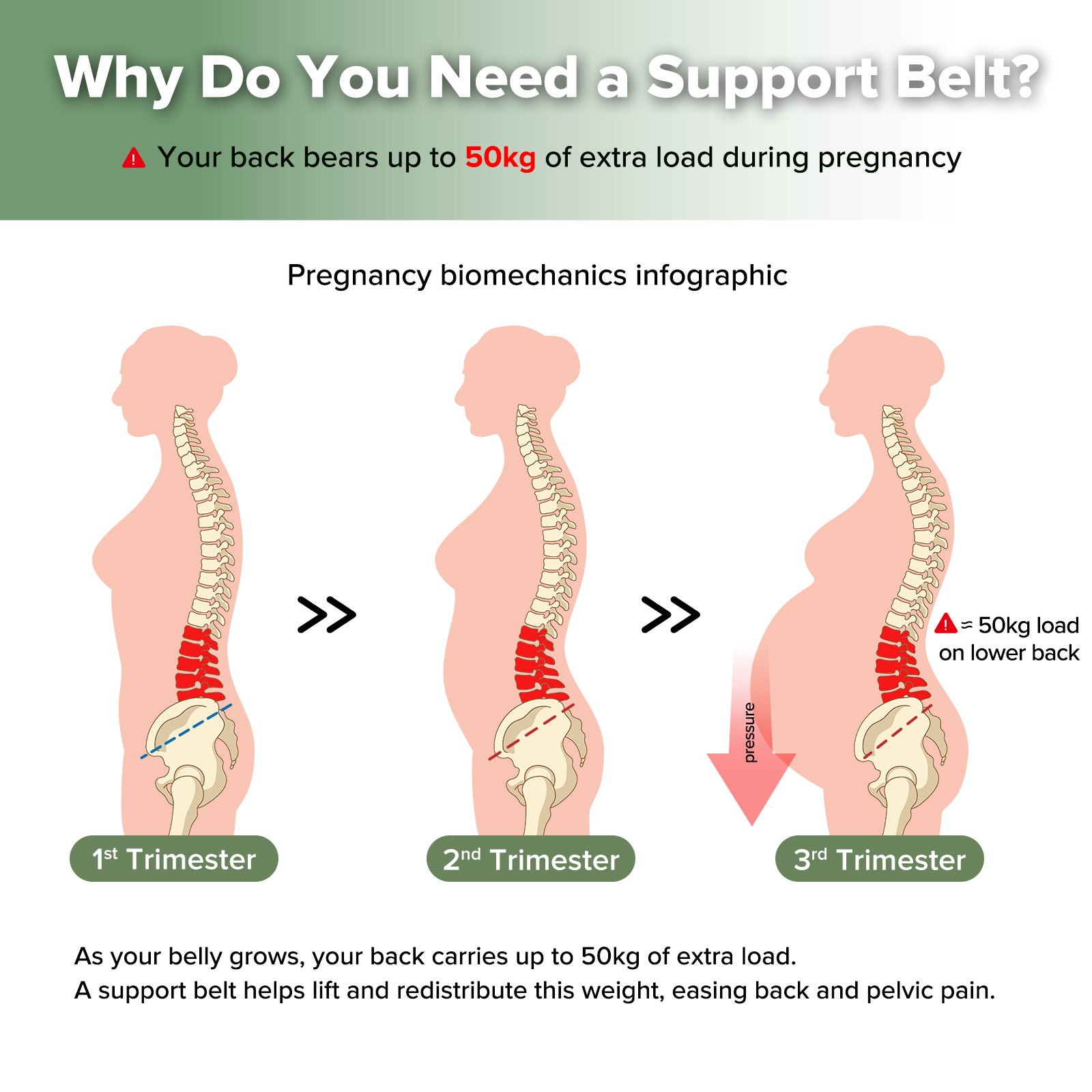 haakaa-360-maternity-lift-support-band-bauch-und-r-ckenst-tzgurt image 3